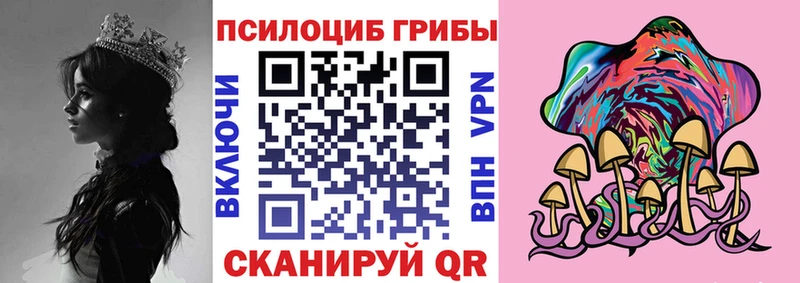 Псилоцибиновые грибы Magic Shrooms где купить Кедровый